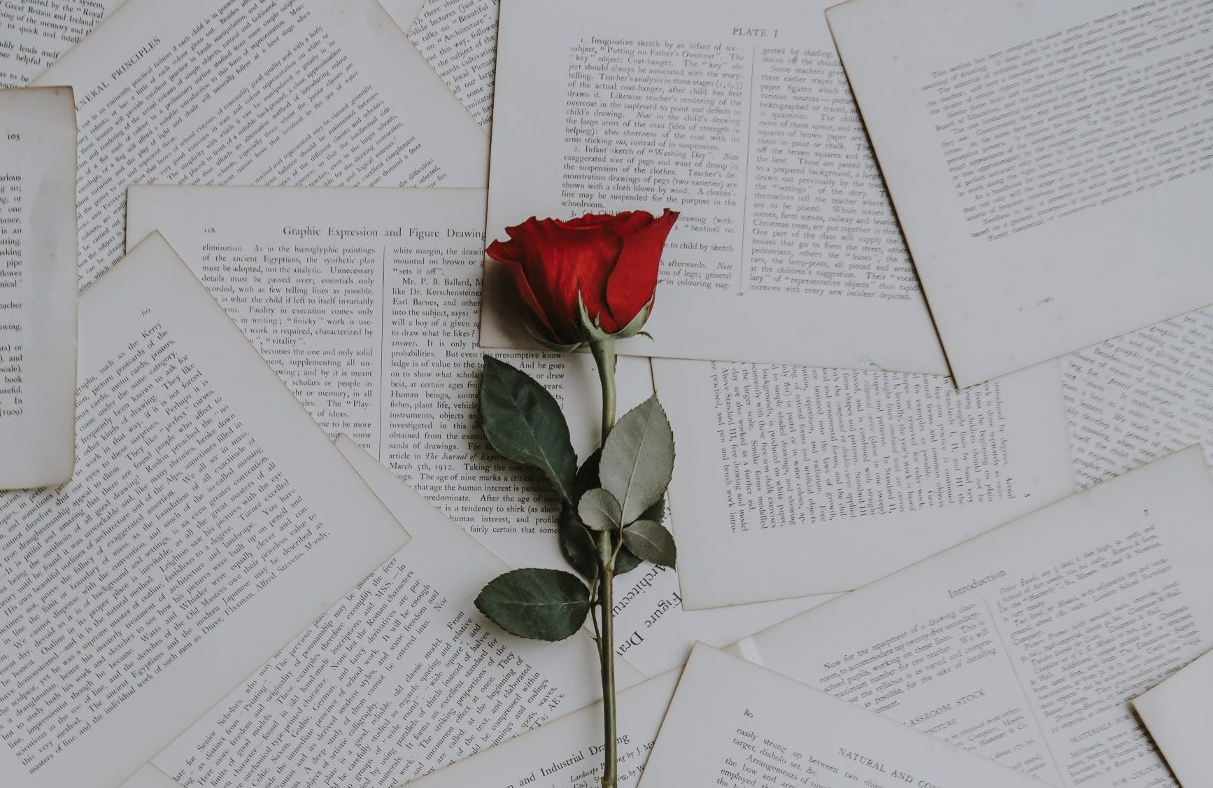 love spell love spells